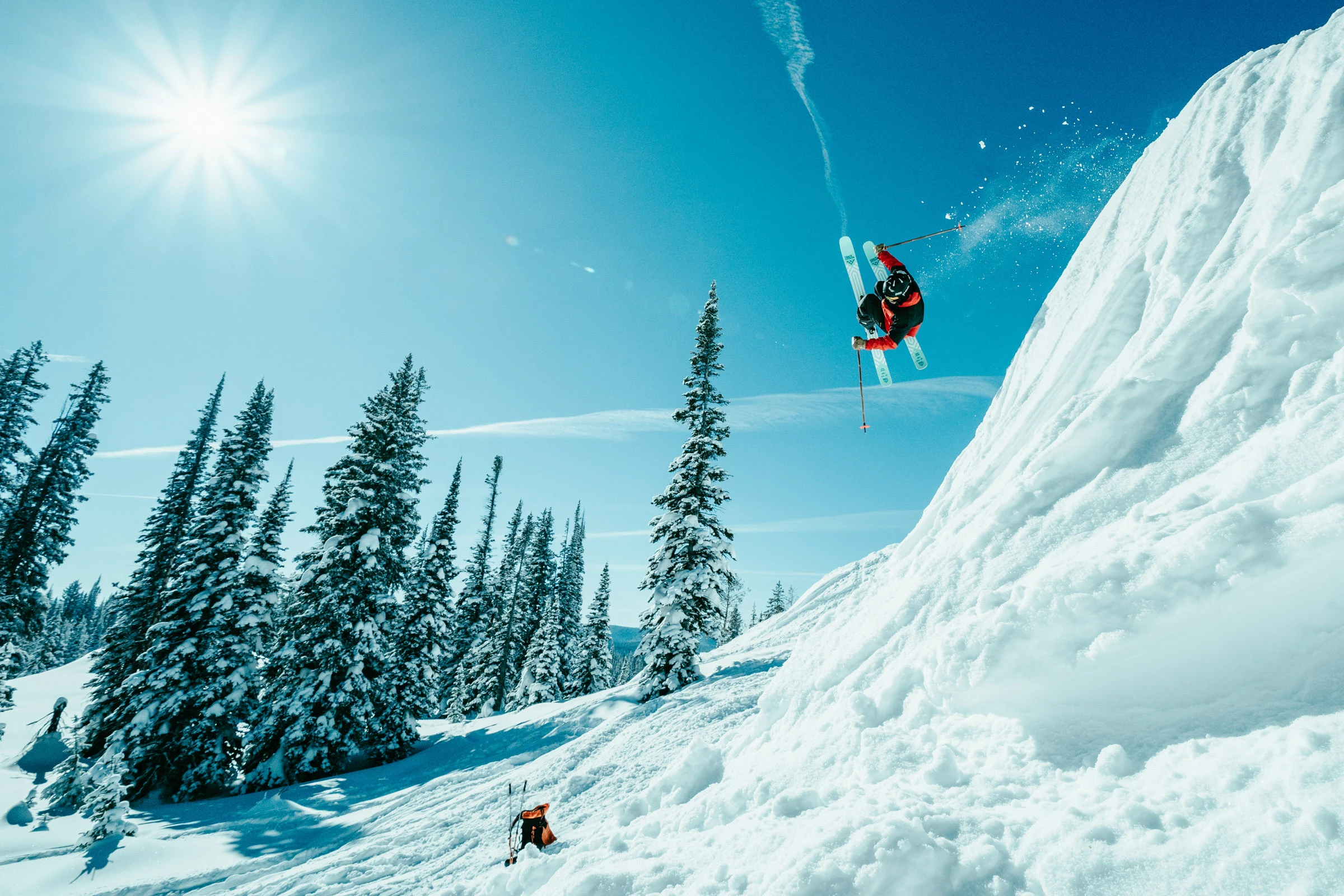 FPV Dive — Tree Run