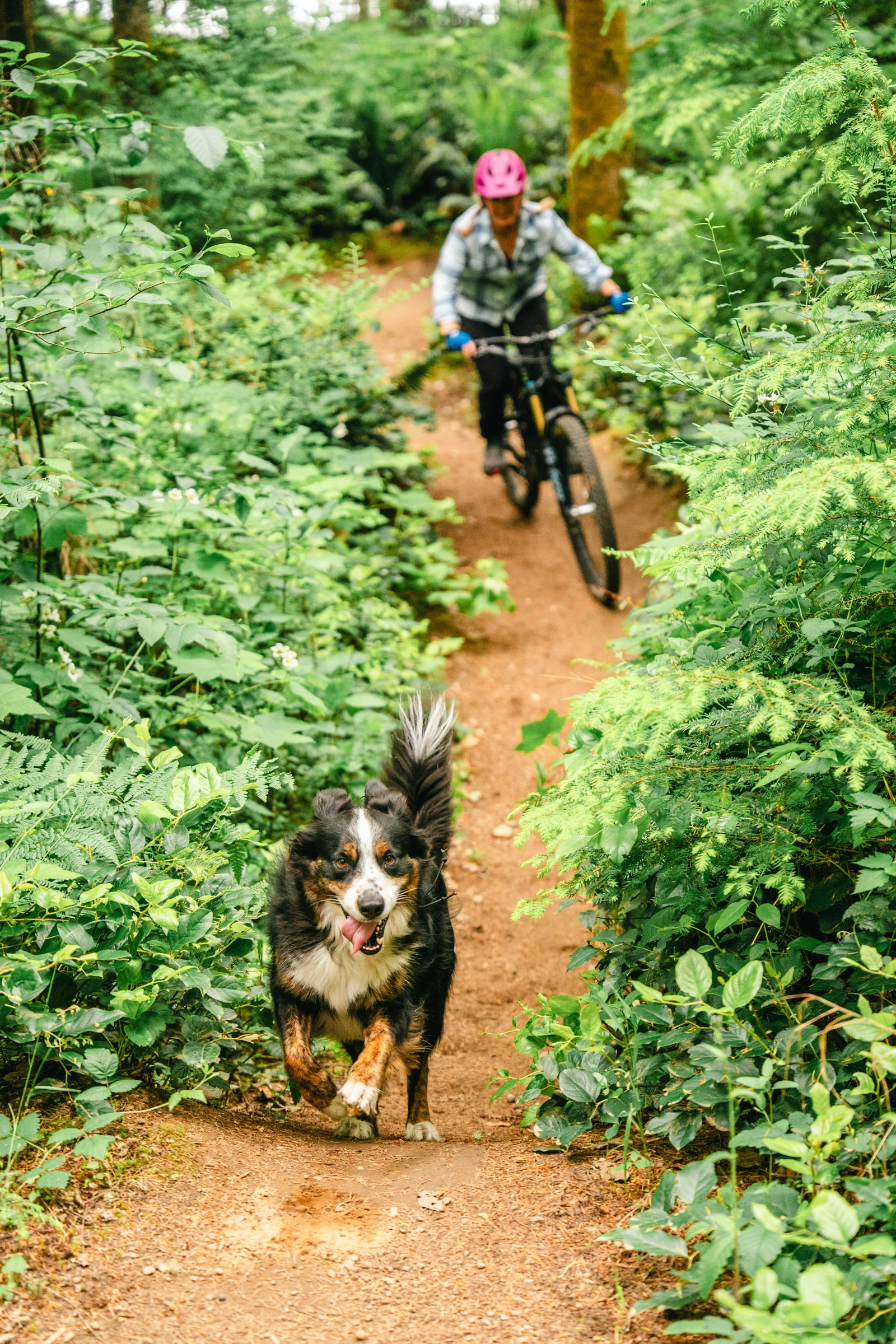 Branded — Gear Campaign